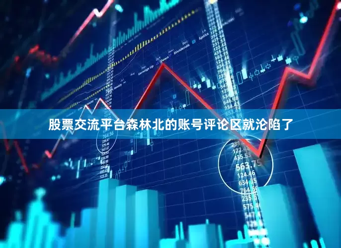 股票交流平台森林北的账号评论区就沦陷了