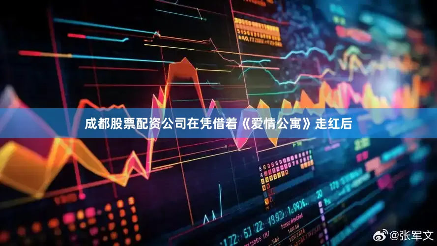 成都股票配资公司在凭借着《爱情公寓》走红后