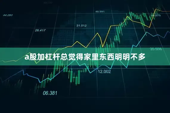 a股加杠杆总觉得家里东西明明不多