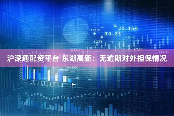 沪深通配资平台 东湖高新：无逾期对外担保情况