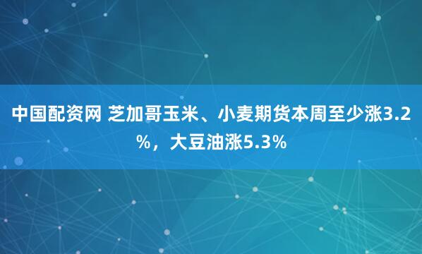 中国配资网 芝加哥玉米、小麦期货本周至少涨3.2%，大豆油涨5.3%
